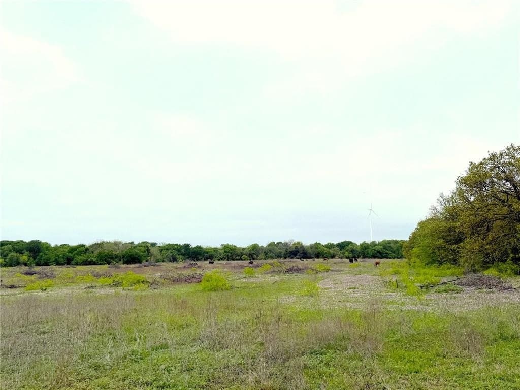 29.57 acres in Limestone County - photo 31