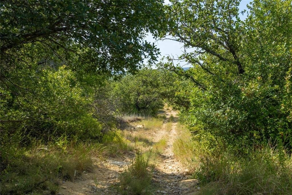 288.8 acres in Coleman County - photo 17