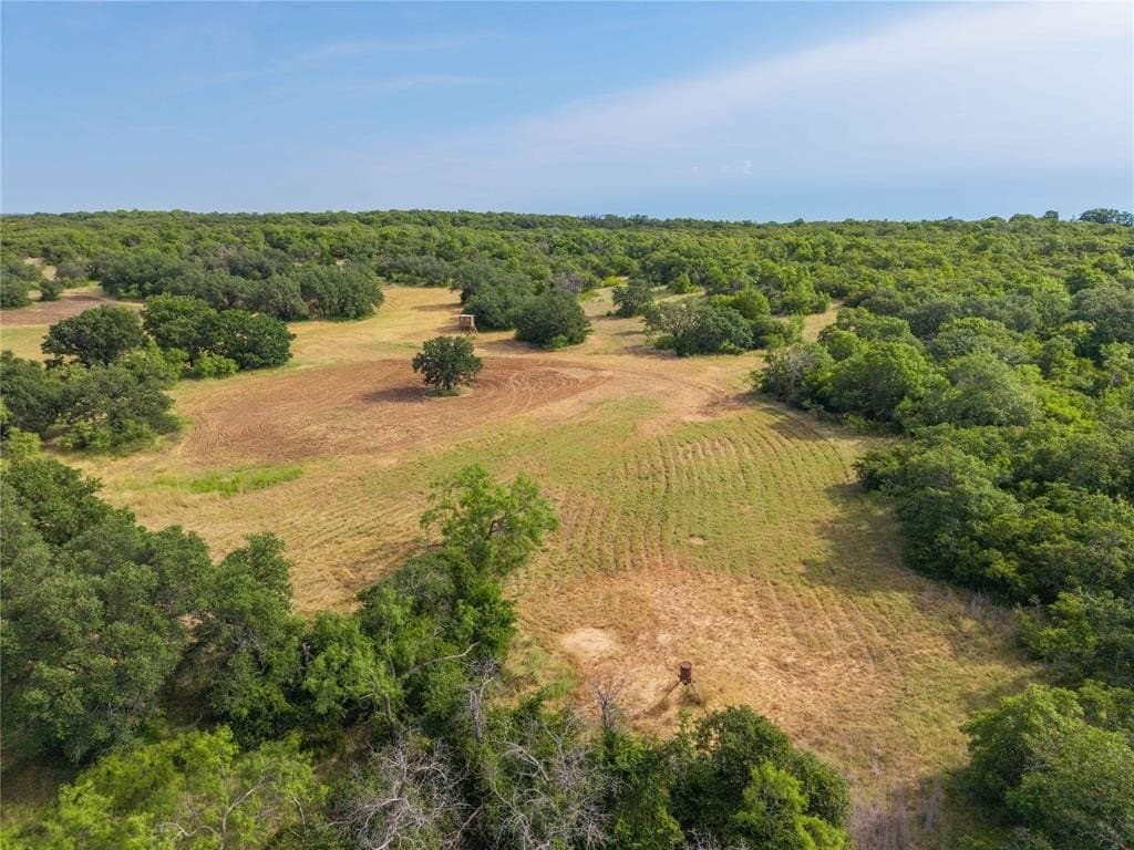 288.8 acres in Coleman County - photo 6