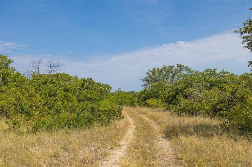 288.8 acres in Coleman County - photo 13