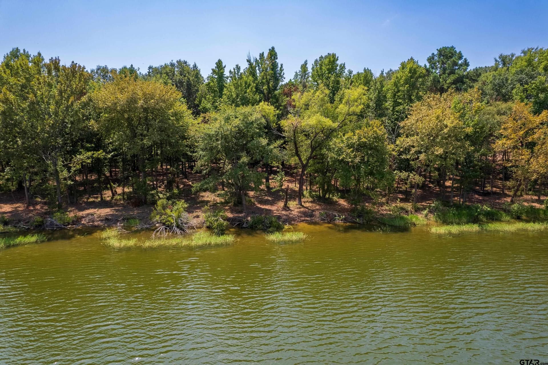 1.48 acres in Camp County - photo 9
