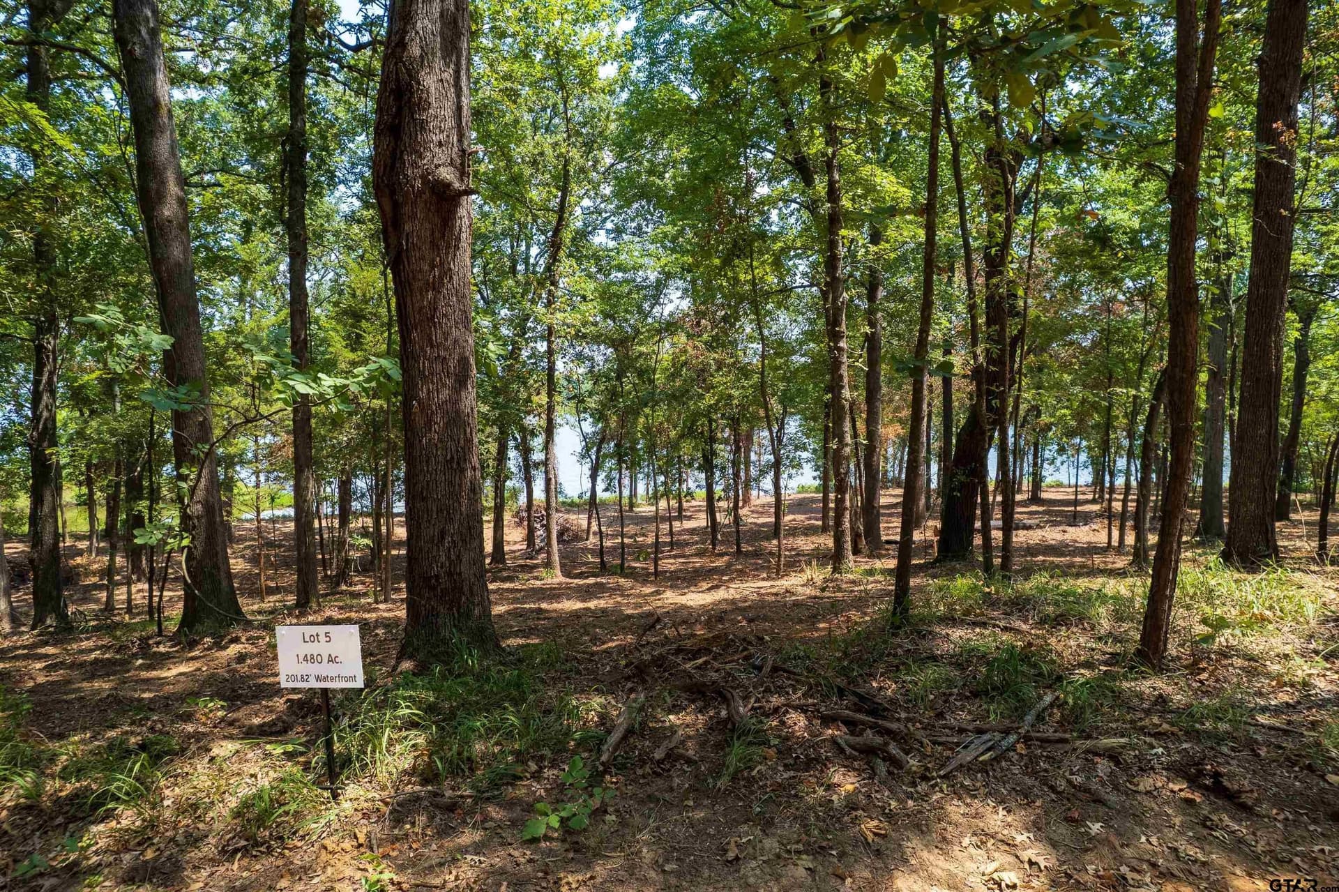 Lot 5 Big Oaks