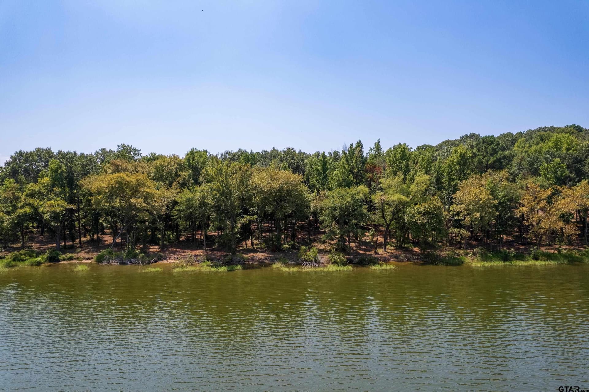 1.48 acres in Camp County - photo 7
