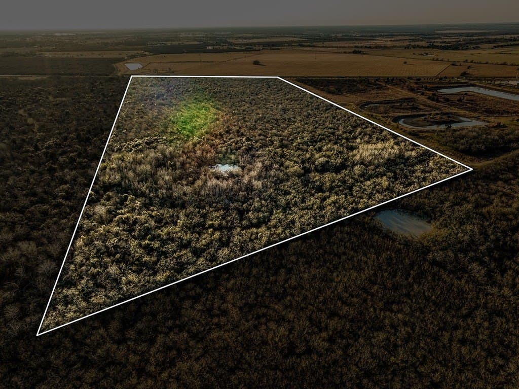 62 acres in Austin County - photo 5