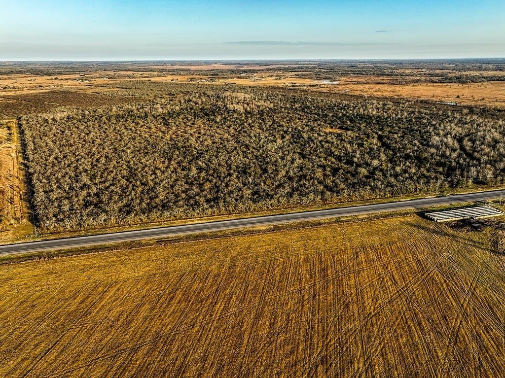 62 acres in Austin County - photo 2