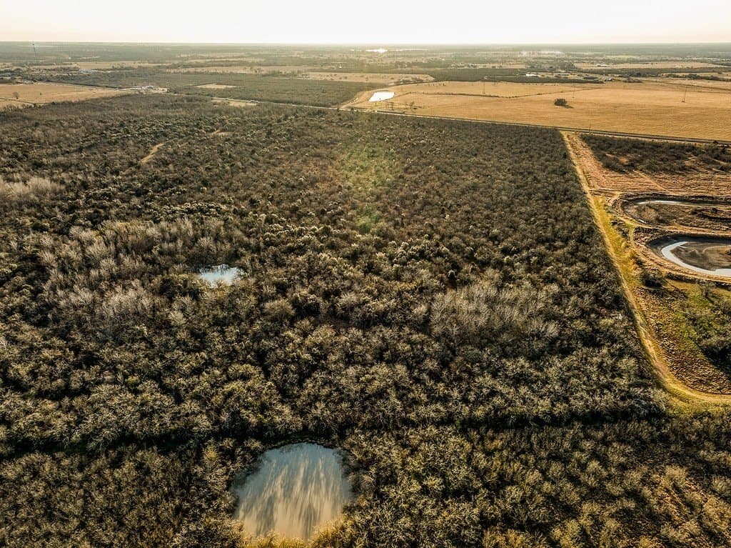62 acres in Austin County - photo 4