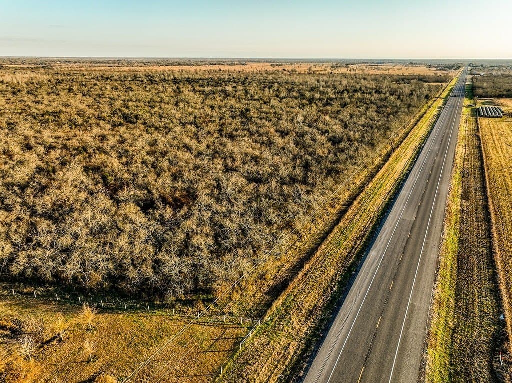 62 acres in Austin County - photo 3