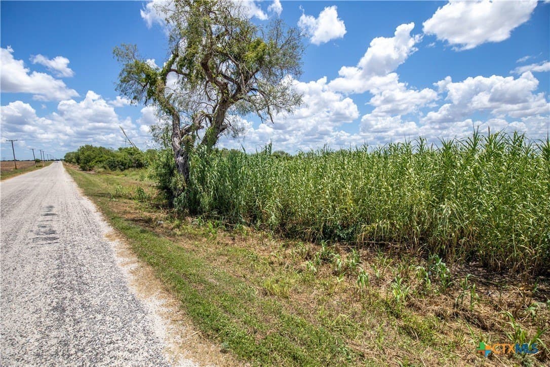 39.94 acres in San Patricio County - photo 13