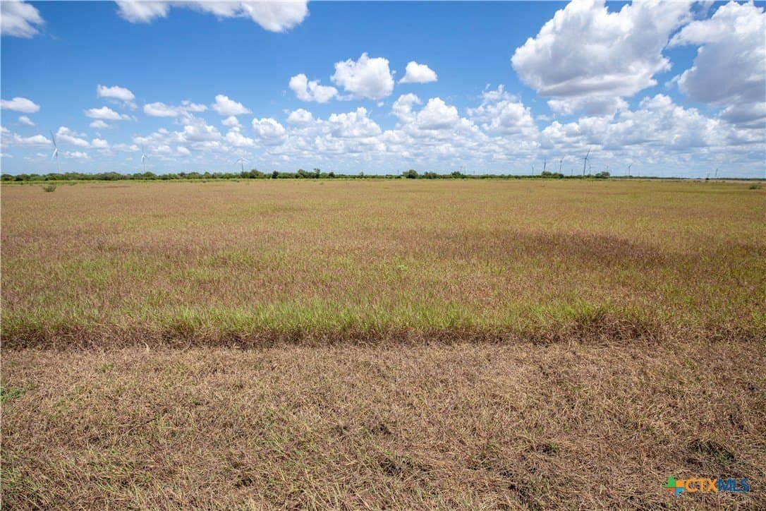 39.94 acres in San Patricio County - photo 29