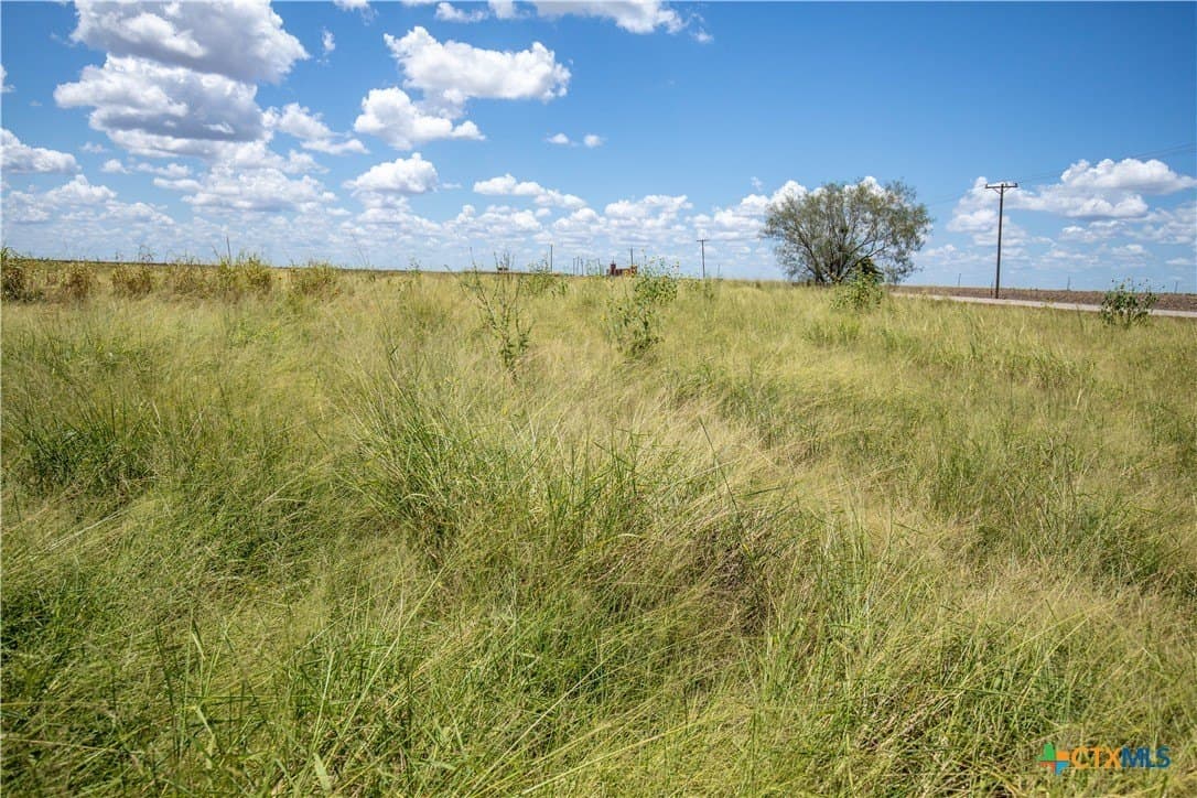 39.94 acres in San Patricio County - photo 44