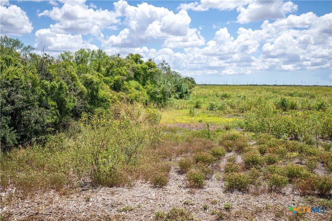 39.94 acres in San Patricio County - photo 43
