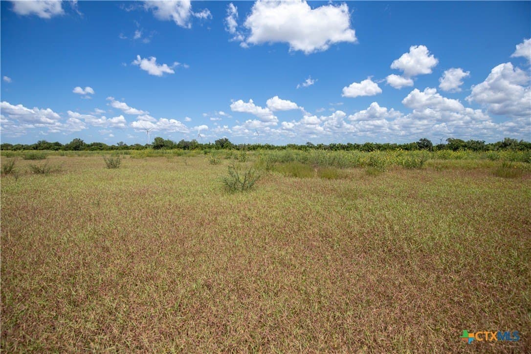 39.94 acres in San Patricio County - photo 23