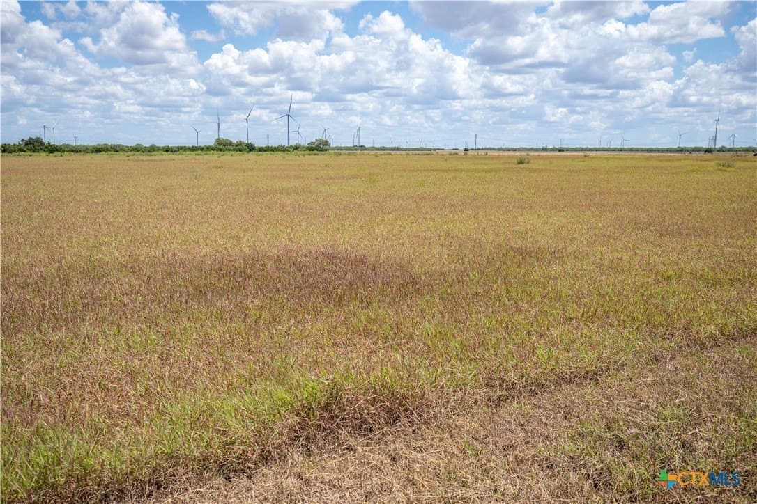 39.94 acres in San Patricio County - photo 33