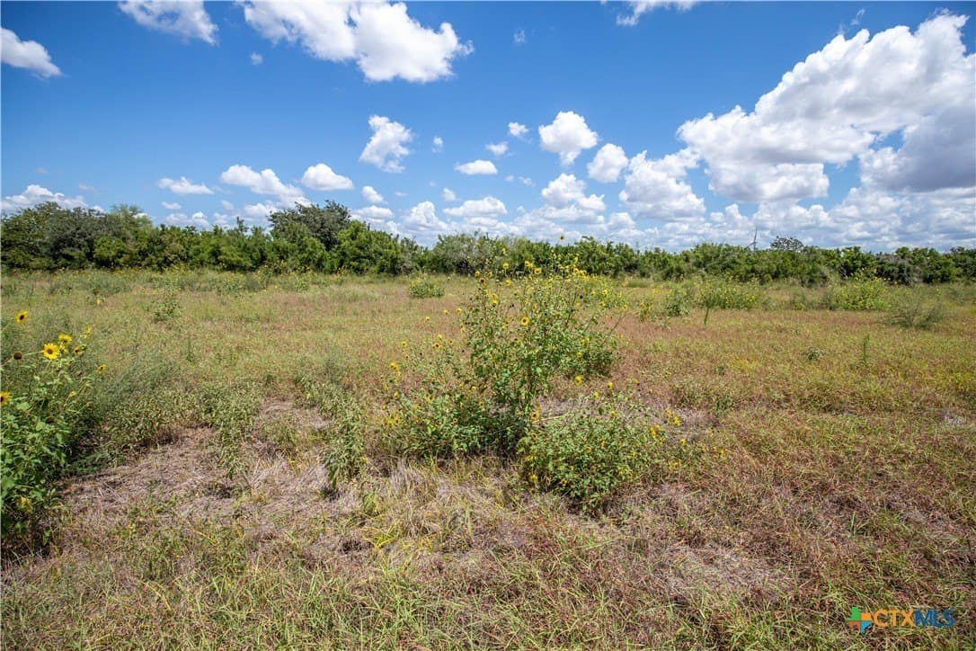 39.94 acres in San Patricio County - photo 40