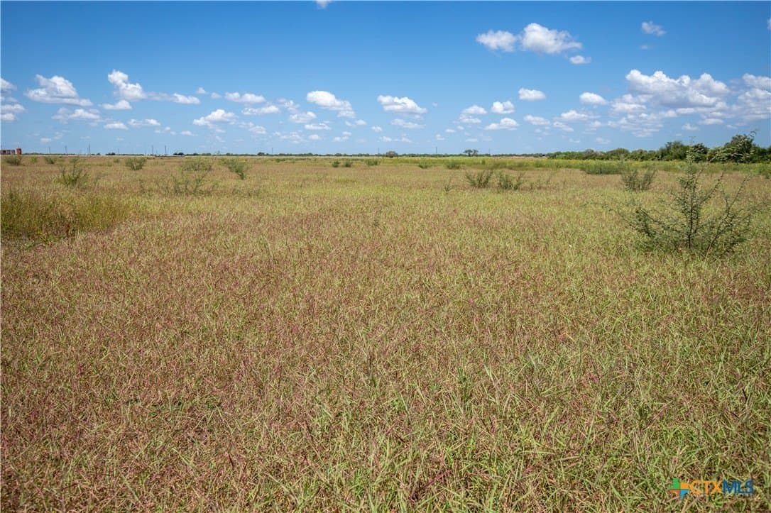 39.94 acres in San Patricio County - photo 25