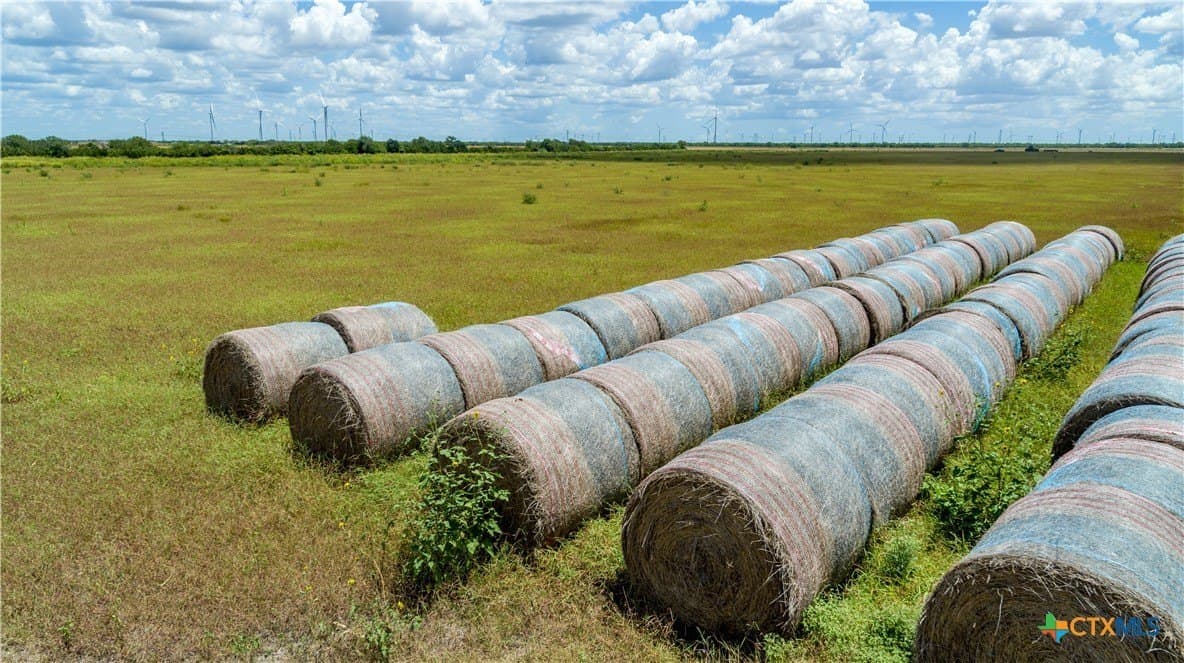 39.94 acres in San Patricio County - photo 12