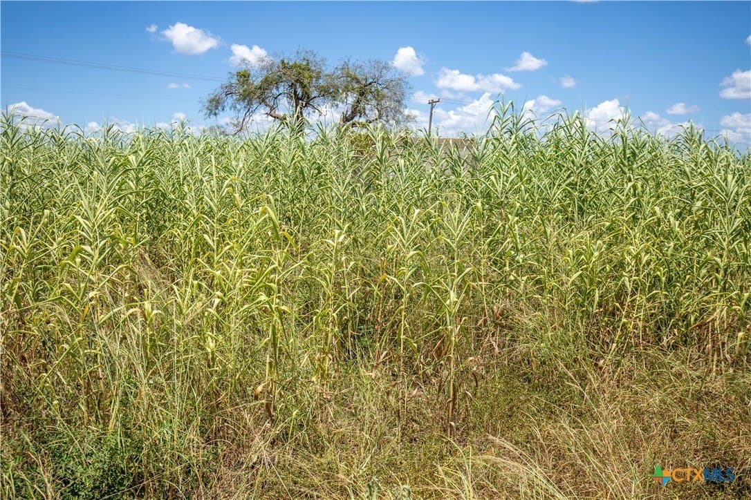 39.94 acres in San Patricio County - photo 47