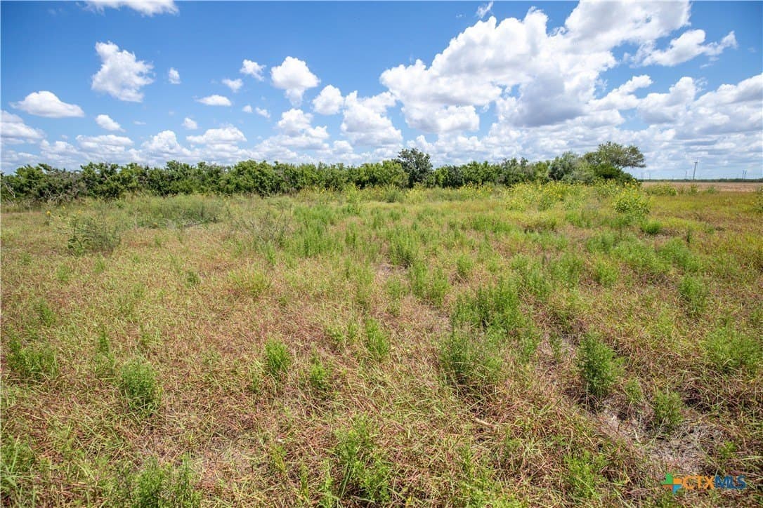 39.94 acres in San Patricio County - photo 38