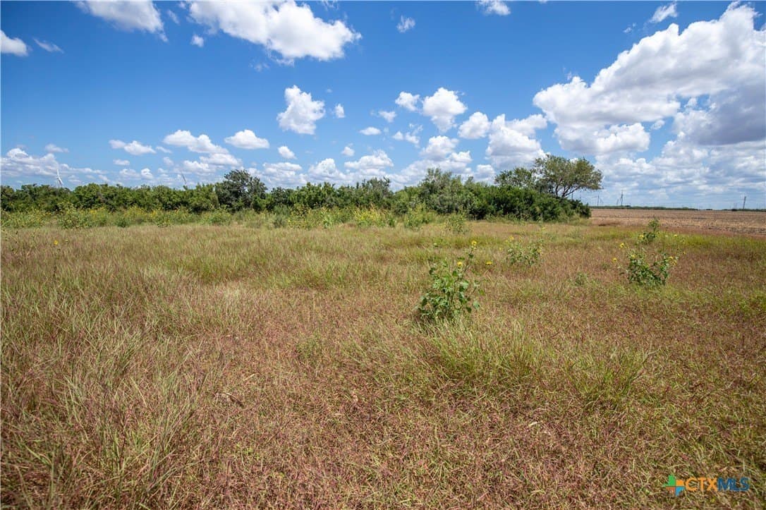 39.94 acres in San Patricio County - photo 19