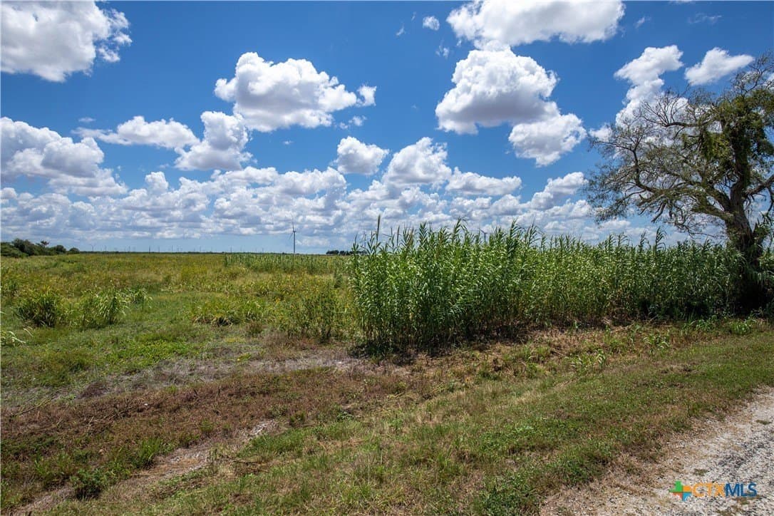 39.94 acres in San Patricio County - photo 14