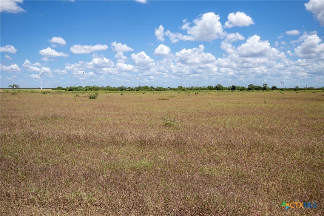 39.94 acres in San Patricio County - photo 35