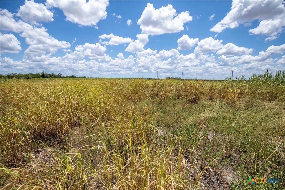 39.94 acres in San Patricio County - photo 45