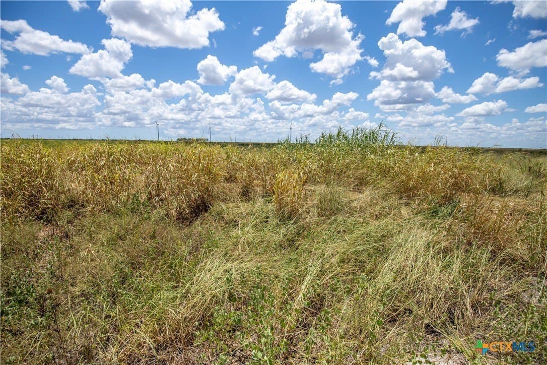 39.94 acres in San Patricio County - photo 46