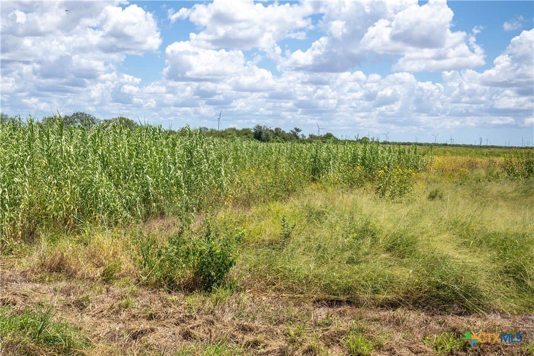 39.94 acres in San Patricio County - photo 41