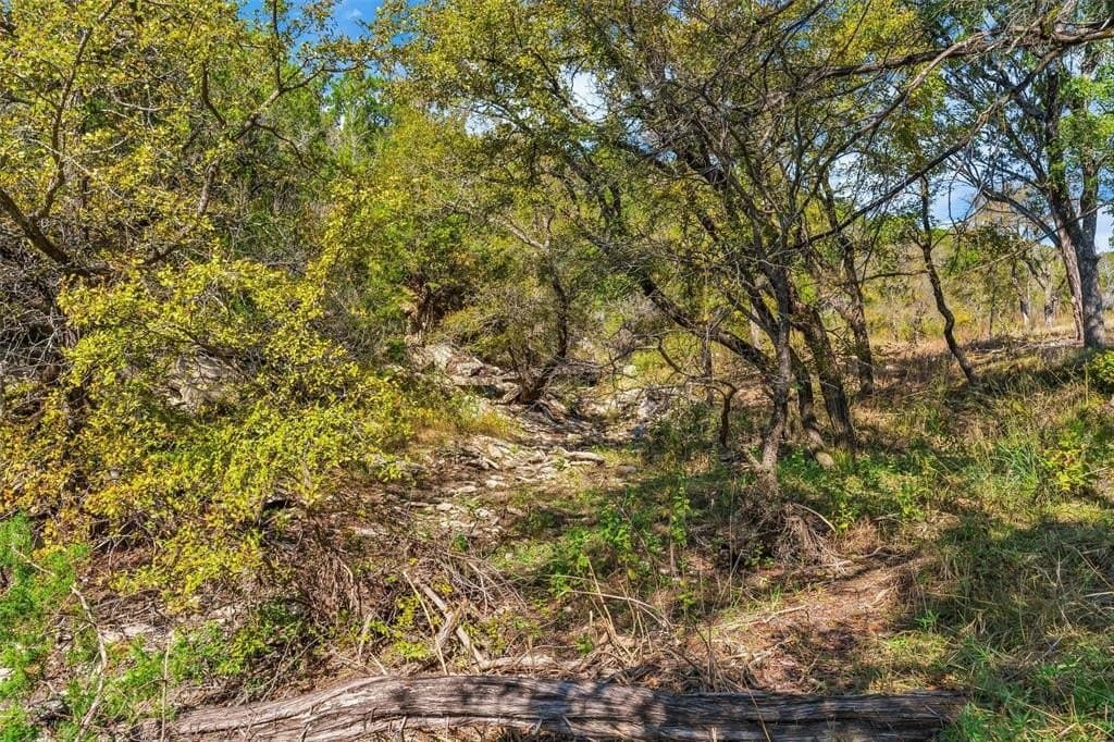 11.01 acres in Hood County - photo 15