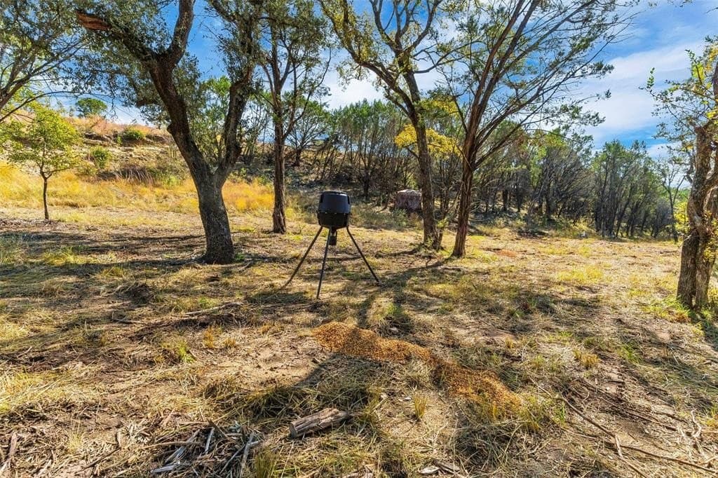 11.01 acres in Hood County - photo 13