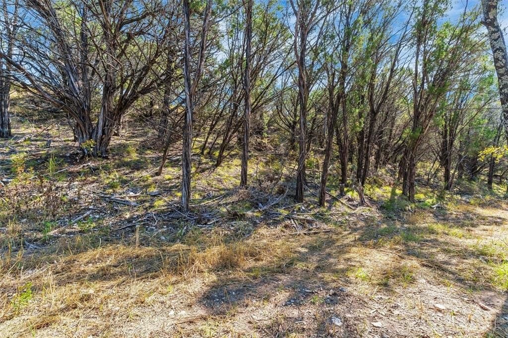 11.01 acres in Hood County - photo 21