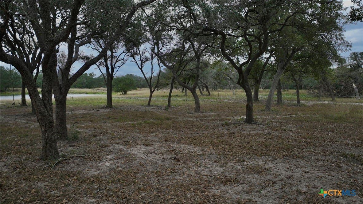 12.81 acres in Victoria County - photo 10