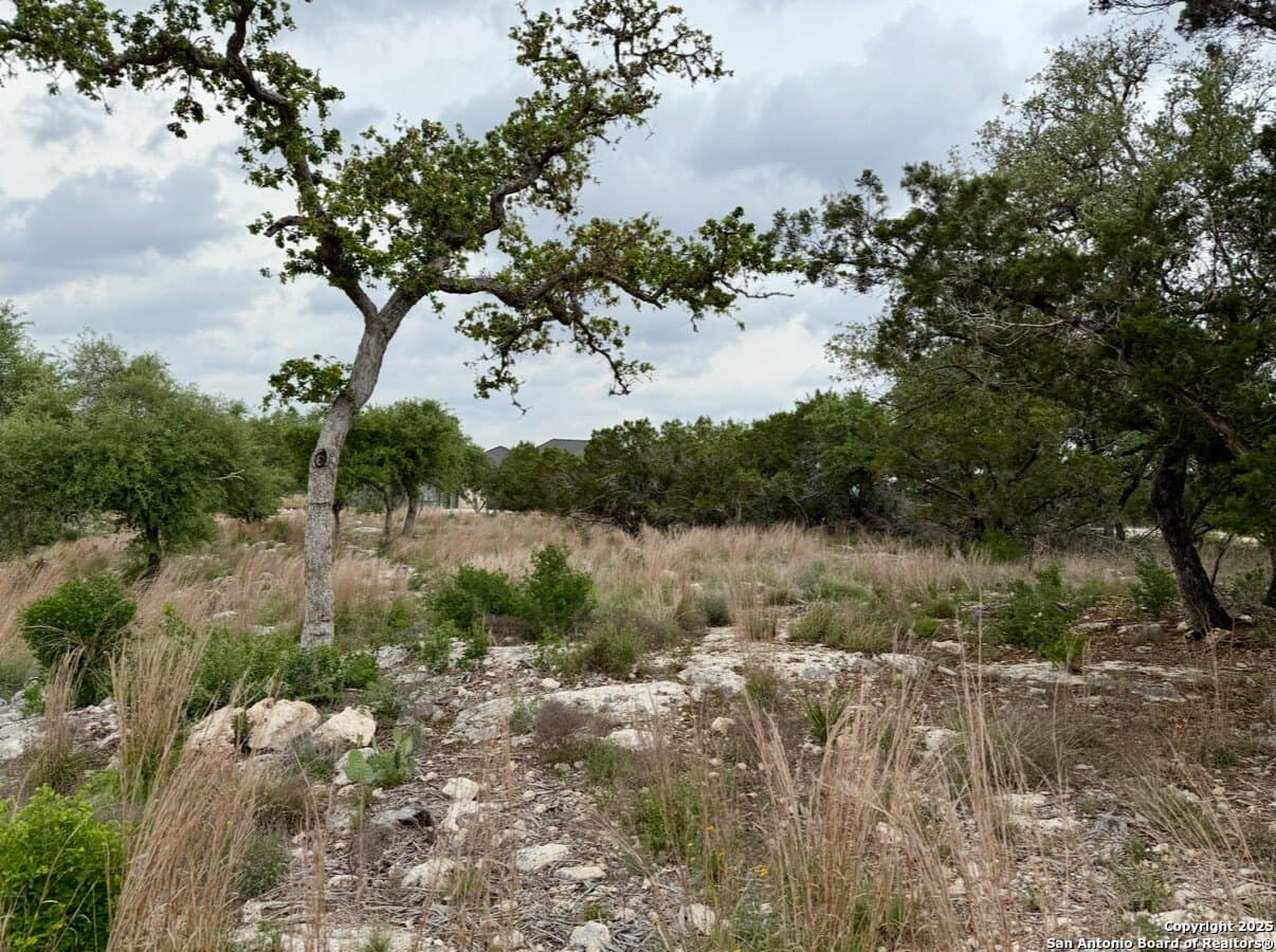 1.18 acres in Comal County - photo 3