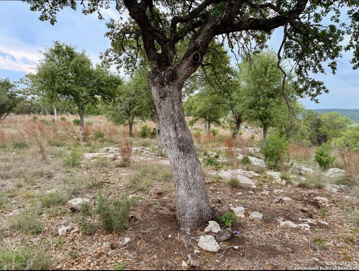 1.18 acres in Comal County - photo 13