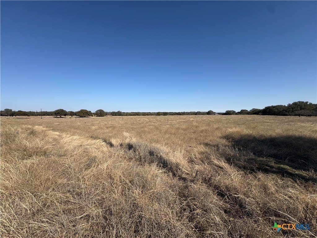 Monarch Lane/Shin Oak lot: 84