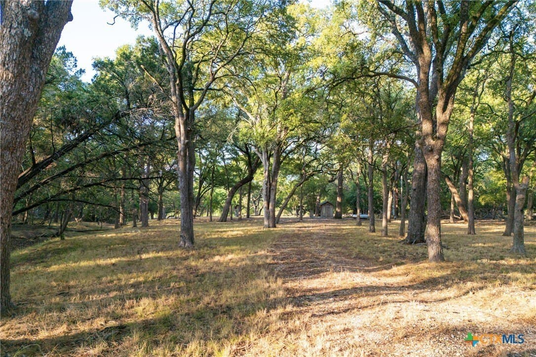 4.18 acres in Hays County - photo 3