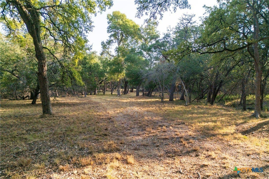 4.18 acres in Hays County - photo 8