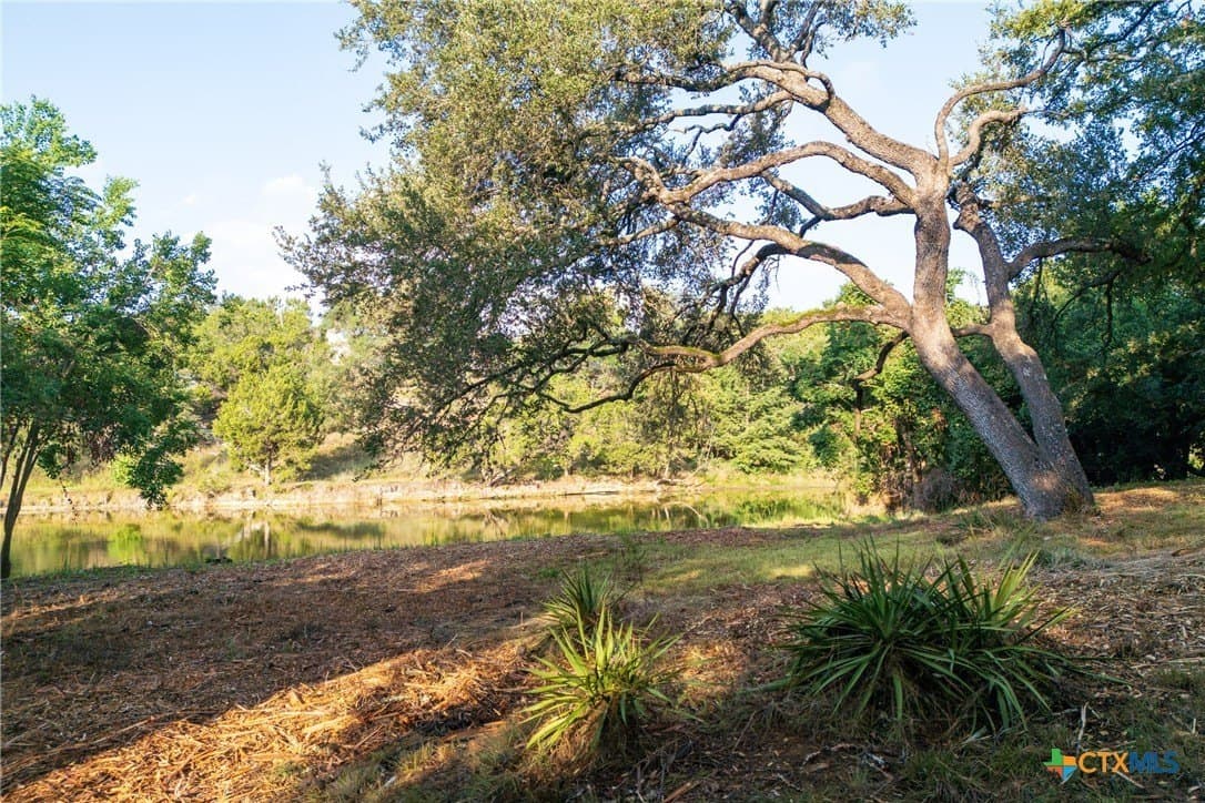 4.18 acres in Hays County - photo 9