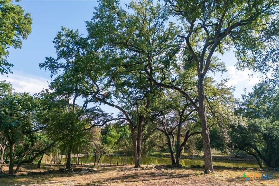 4.18 acres in Hays County - photo 4