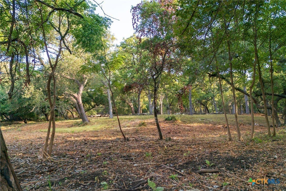 4.18 acres in Hays County - photo 11