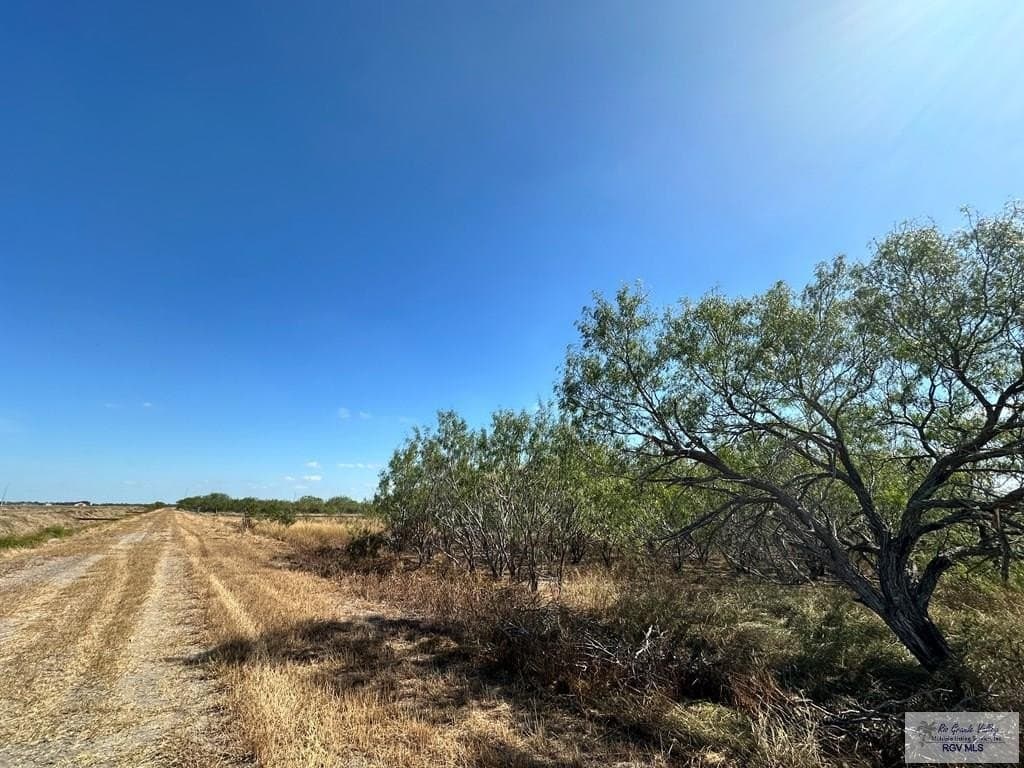 10 acres in CAMERON County - photo 16