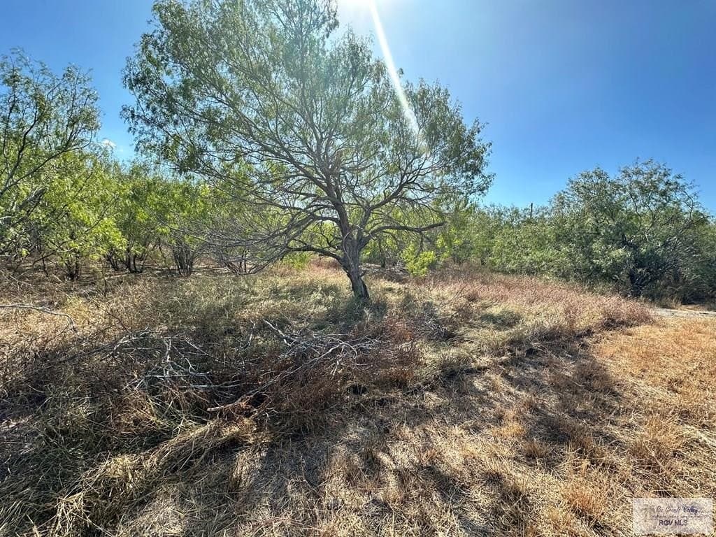 10 acres in CAMERON County - photo 18