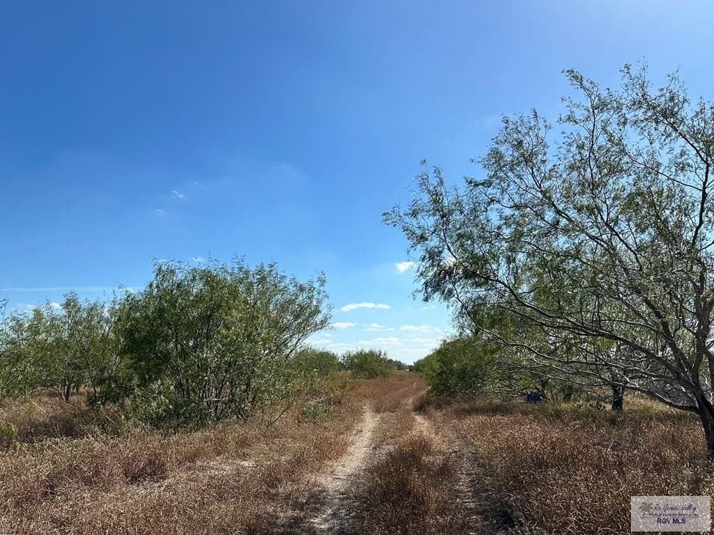 10 acres in CAMERON County - photo 17