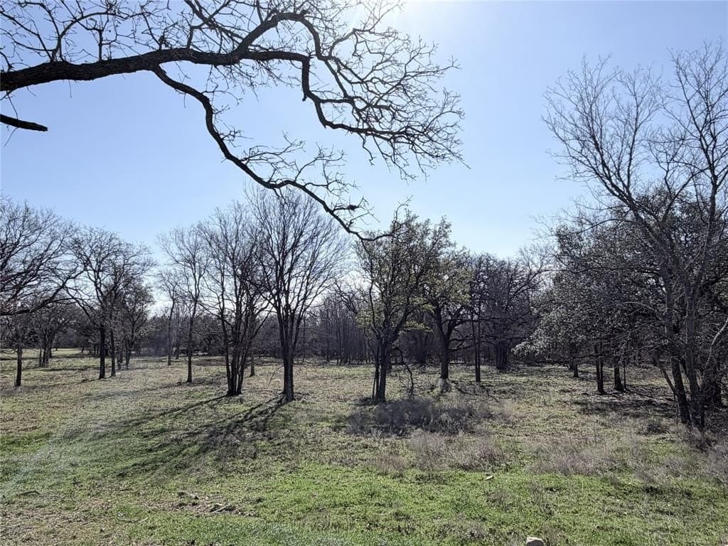 3.3 acres in Hill County - photo 2