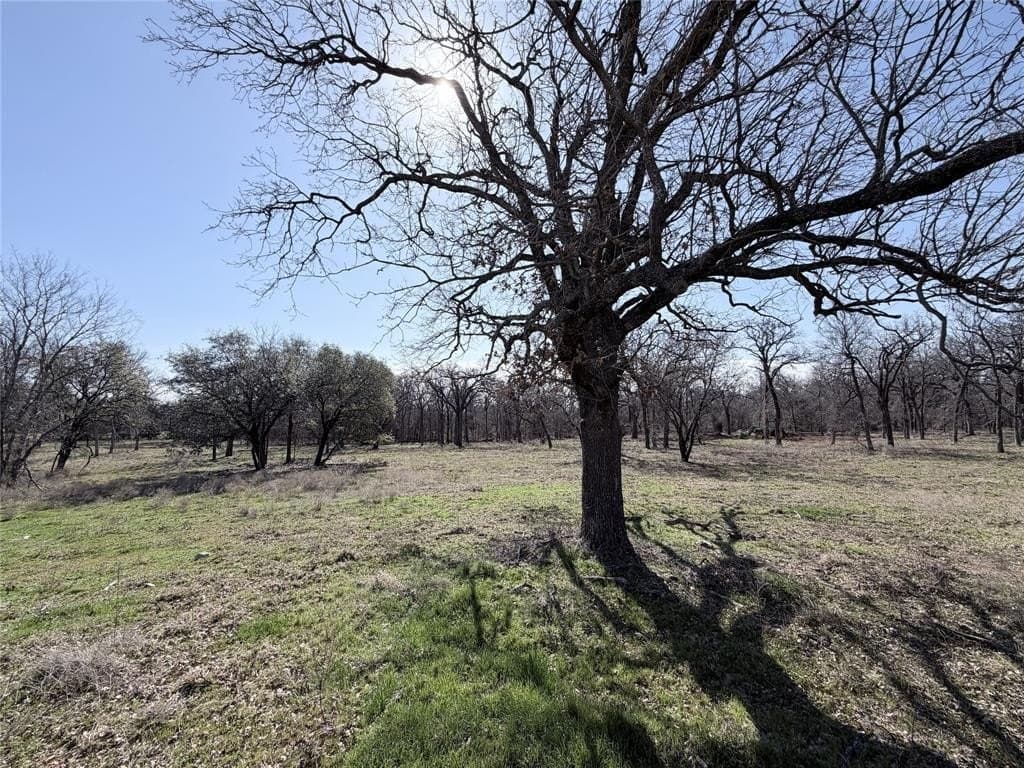 3.3 acres in Hill County - photo 6