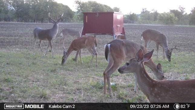 20 acres in McLennan County - photo 46