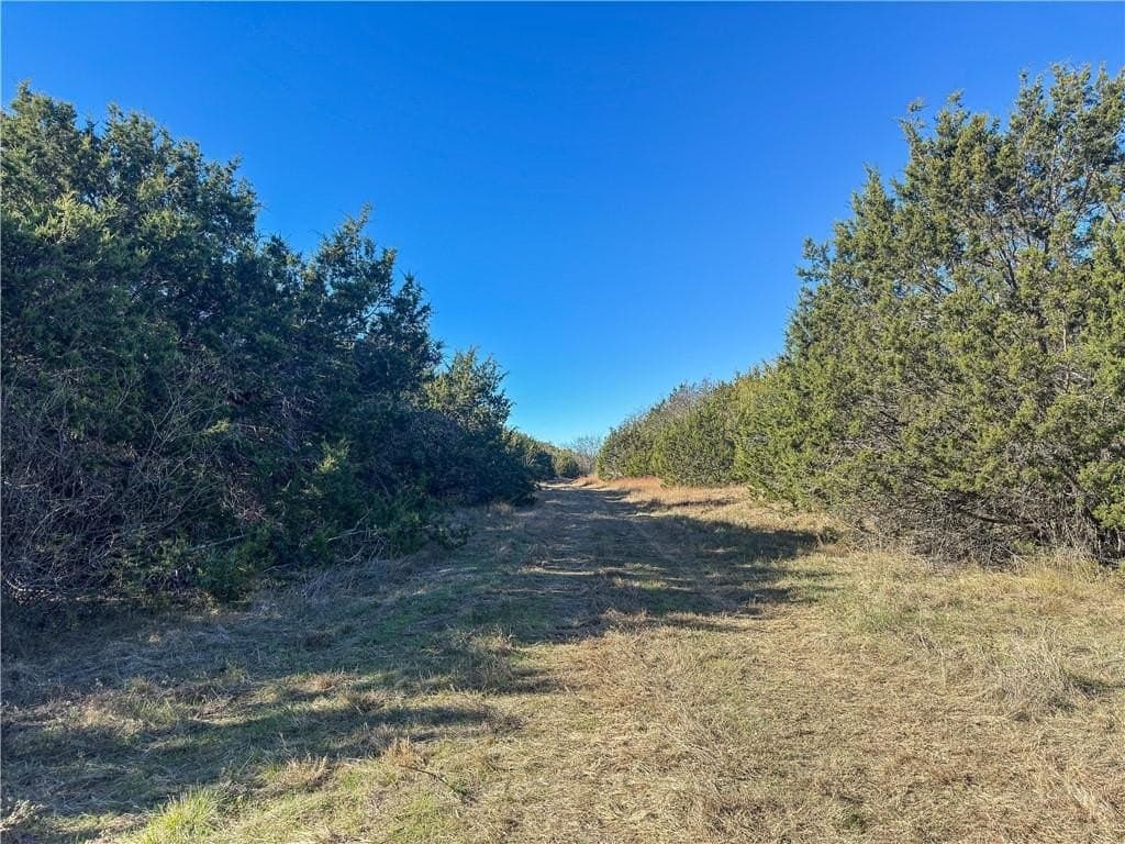 20 acres in McLennan County - photo 36