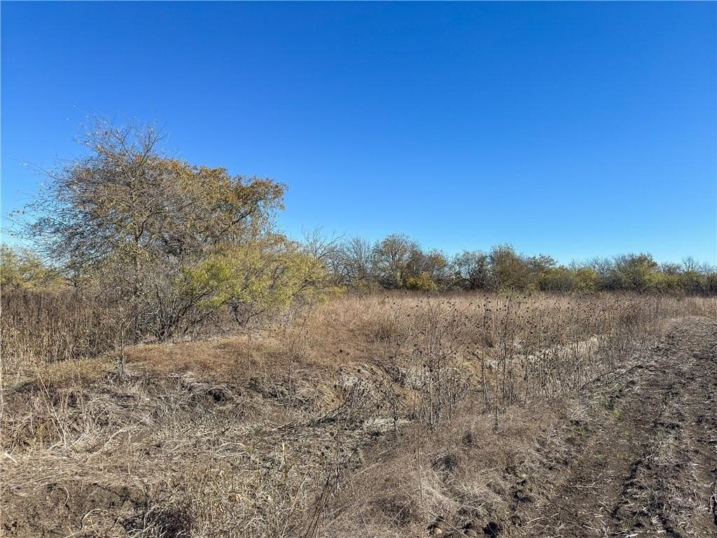20 acres in McLennan County - photo 39