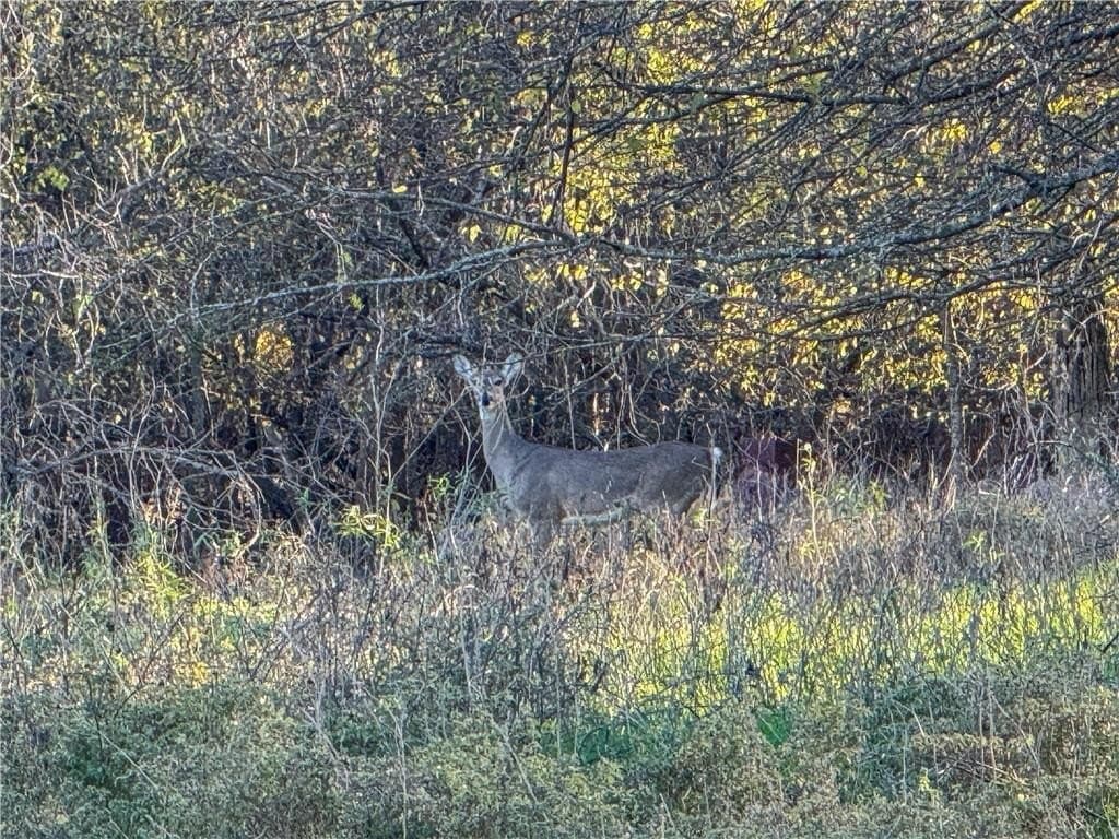 20 acres in McLennan County - photo 32