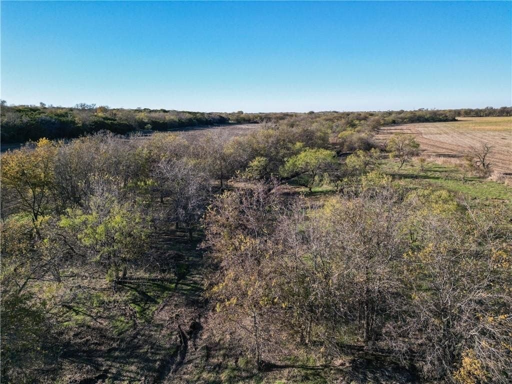 20 acres in McLennan County - photo 12